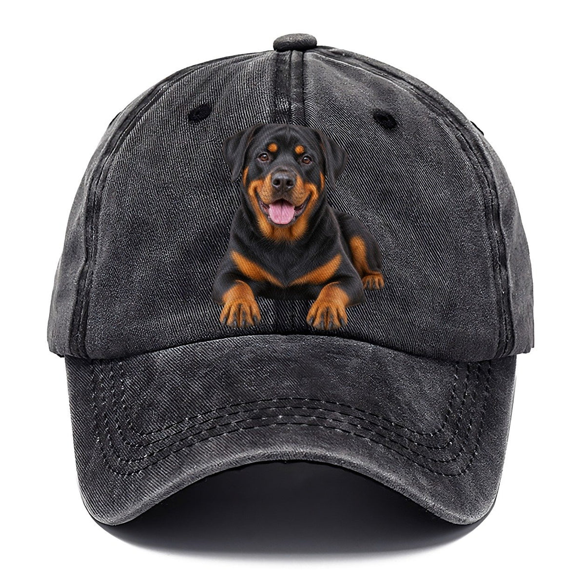 Rottweiler Sitting Top Breeds Classic Cap – Graphite