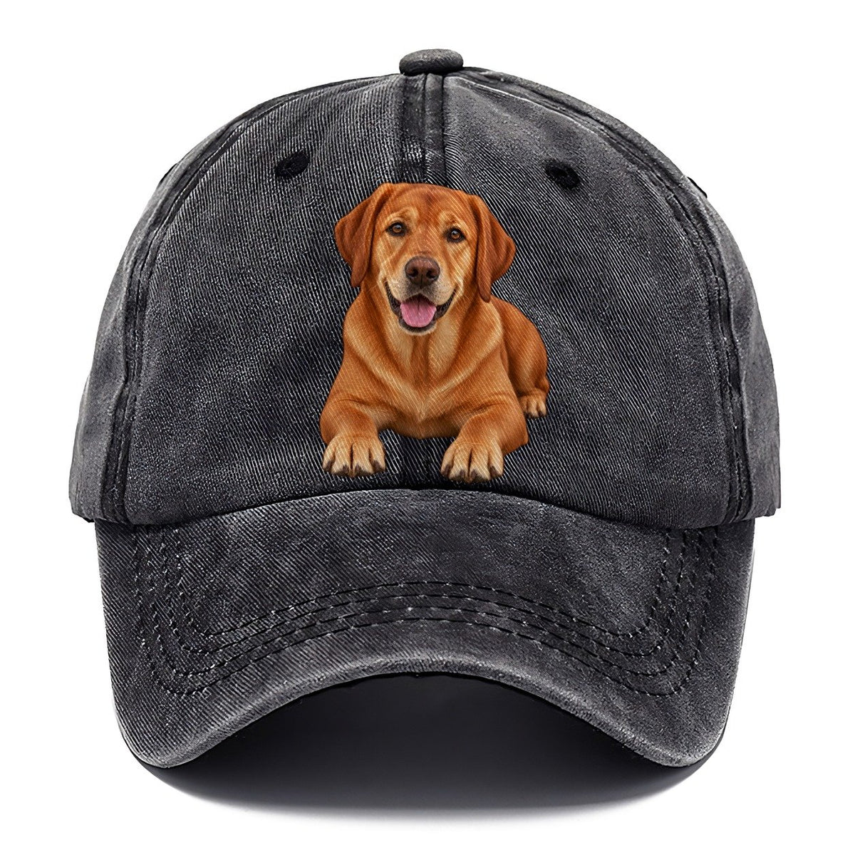 Fox Red Labrador Classic Cap – Graphite