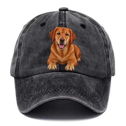 Fox Red Labrador Classic Cap – Graphite