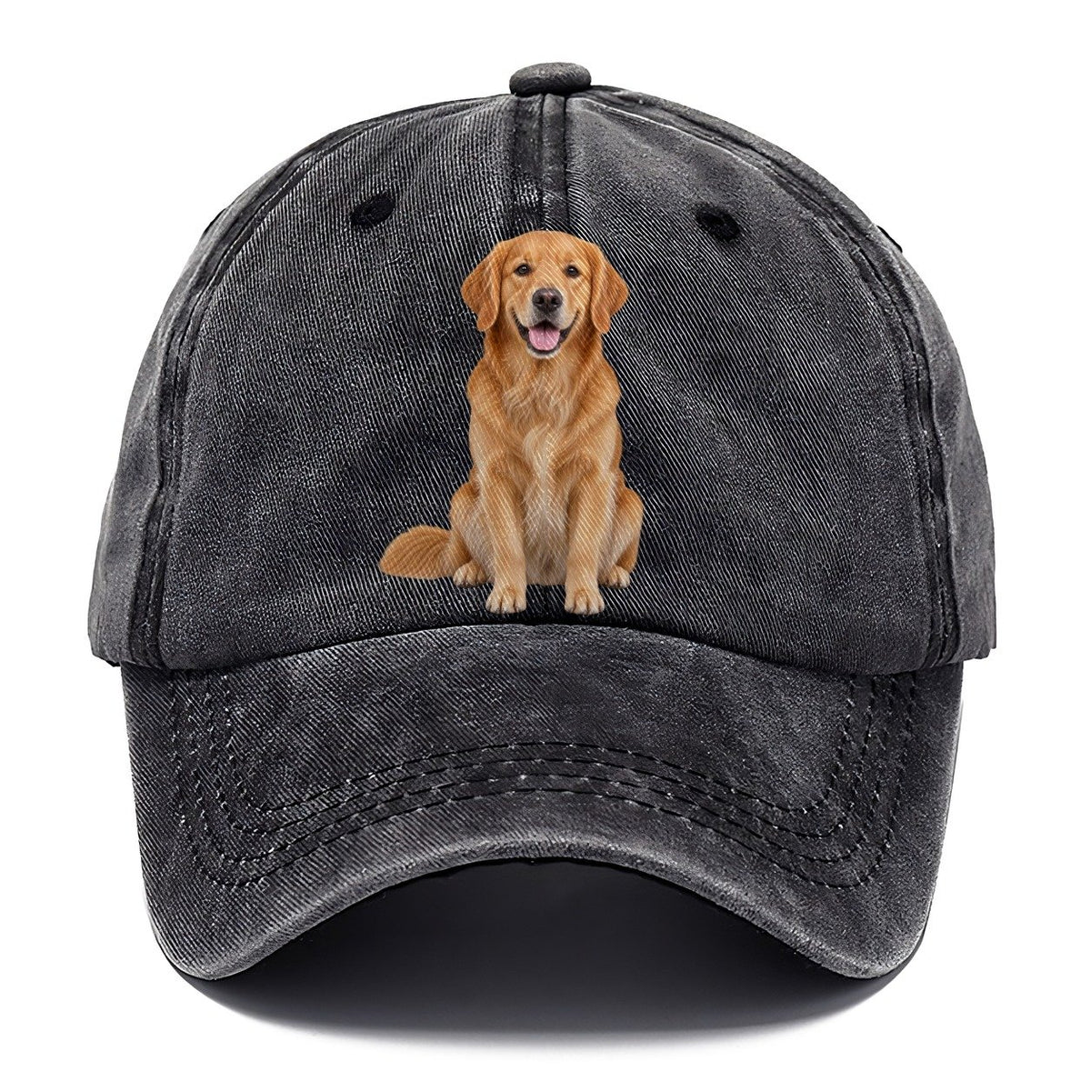 Golden Retriever Sitting Upright Top Breeds Classic Cap – Graphite