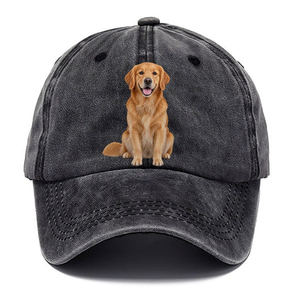 Golden Retriever Sitting Upright Top Breeds Classic Cap – Graphite