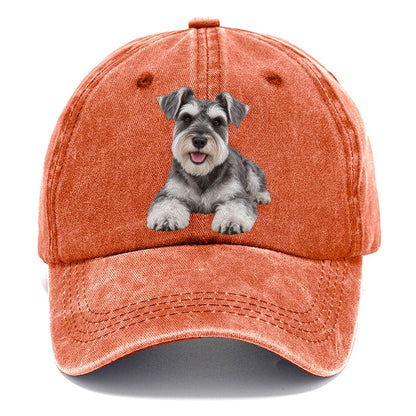 Miniature Schnauzer Lying Down Top Breeds Classic Cap – Terracotta Clay