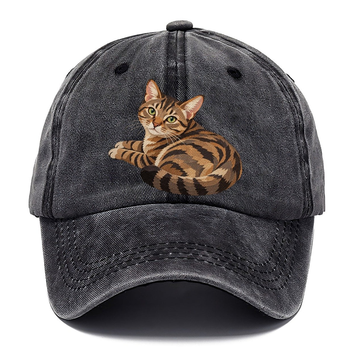 Curled Tabby Cat Classic Cap – Graphite