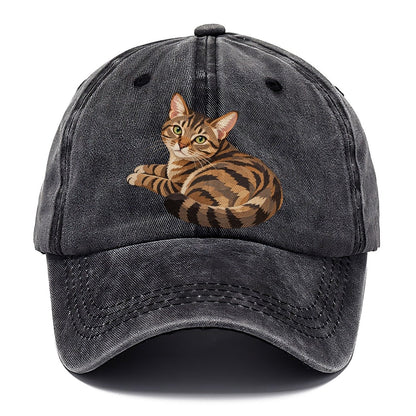 Curled Tabby Cat Classic Cap – Graphite