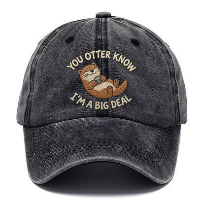 Otter Animal Puns Classic Cap – Graphite