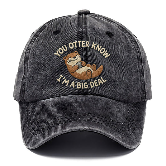 Otter Animal Puns Classic Cap – Graphite