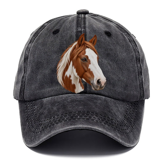 Paint Horse Broad Blaze Pastimes Companions Classic Cap – Graphite