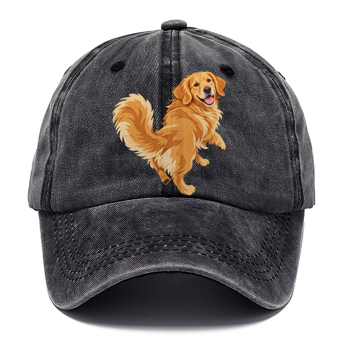 Golden Retriever Classic Cap – Graphite
