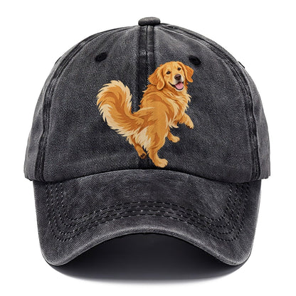 Golden Retriever Classic Cap – Graphite