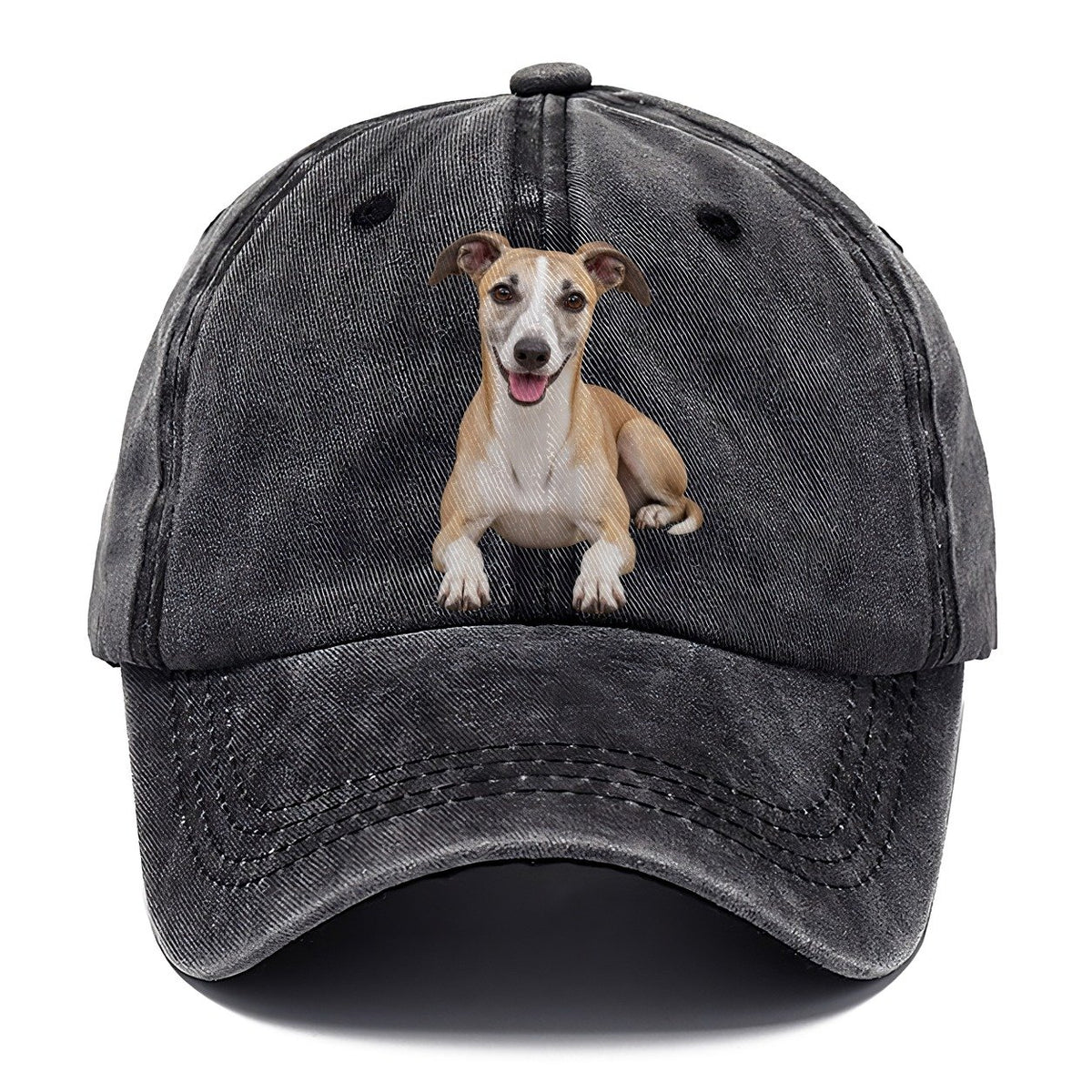 Whippet Lying Down Top Breeds Classic Cap – Graphite