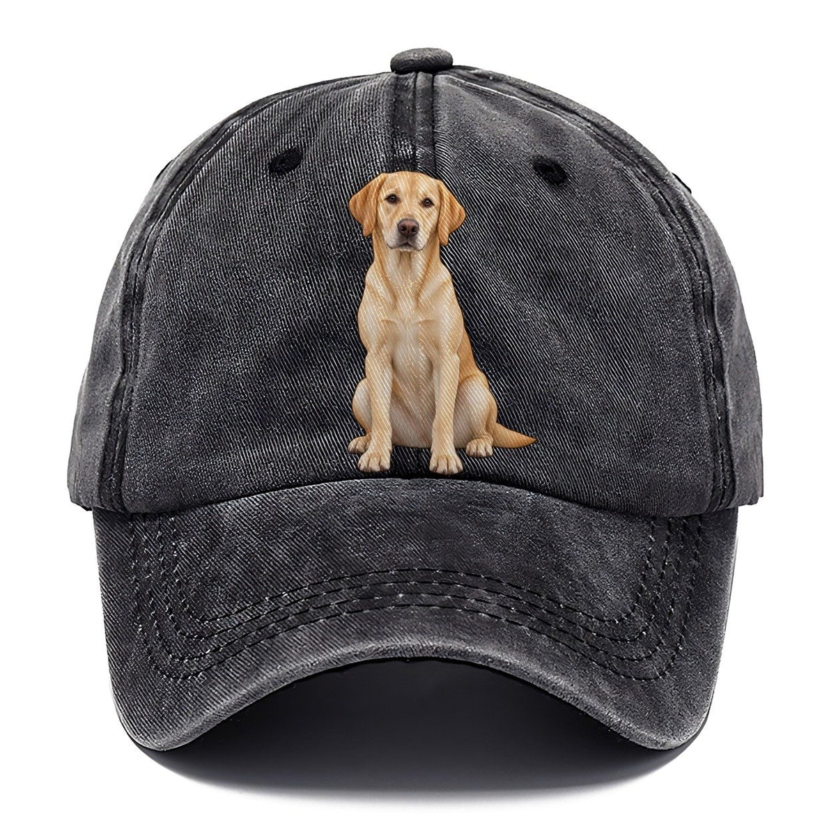 American Yellow Labrador Classic Cap – Graphite
