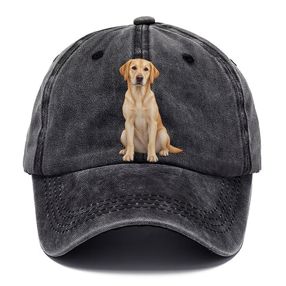 American Yellow Labrador Classic Cap – Graphite