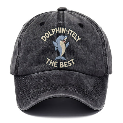 Dolphin Animal Puns Classic Cap – Graphite