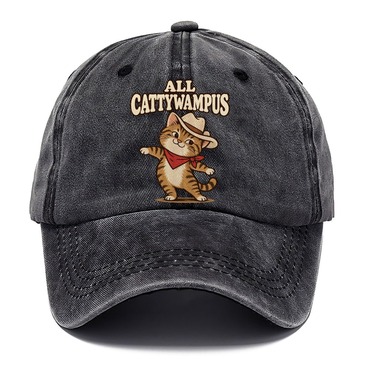 All Cattywampus Well I Declare Classic Cap – Graphite