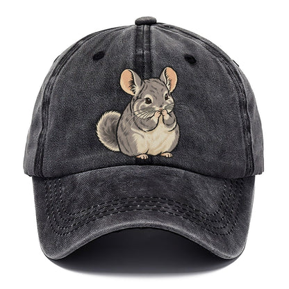 Chinchilla Whisker Wash Small Pet Logos Classic Cap – Graphite