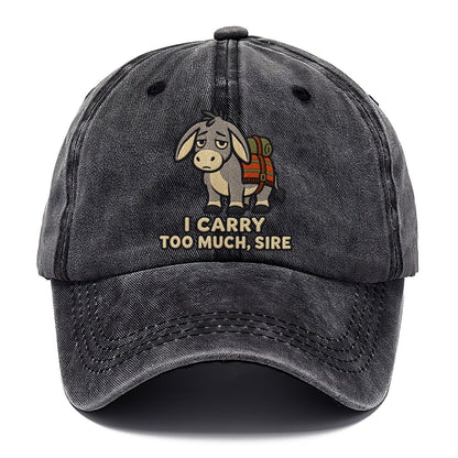 Donkey Bearer Weary Court Classic Cap – Graphite