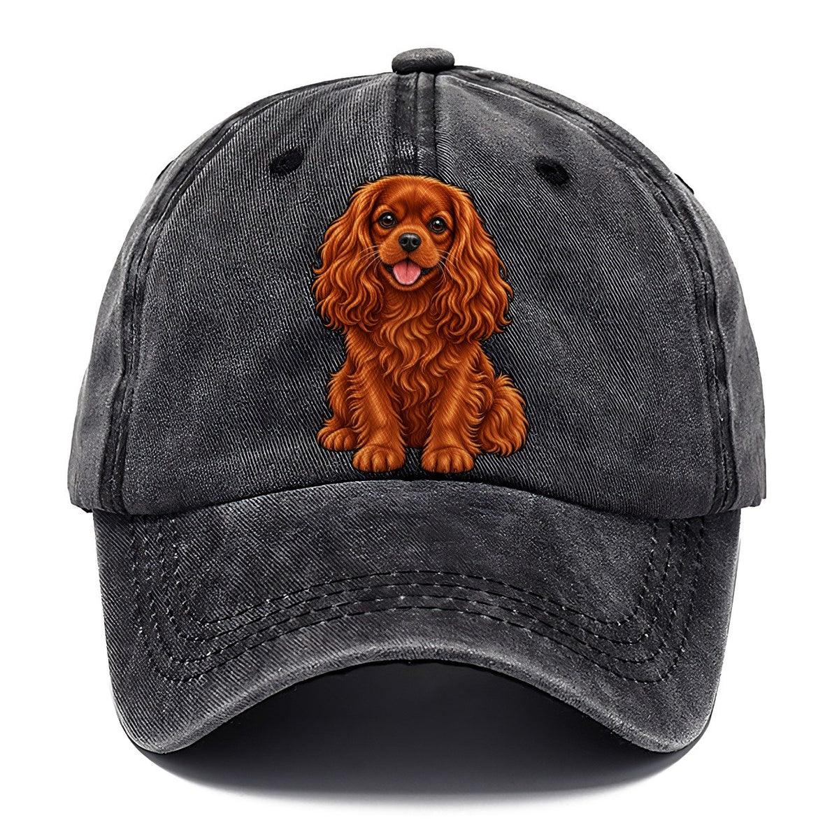 Ruby Cavalier King Charles Classic Cap – Graphite