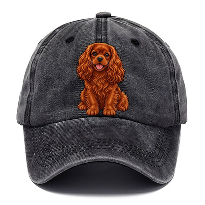 Ruby Cavalier King Charles Classic Cap – Graphite