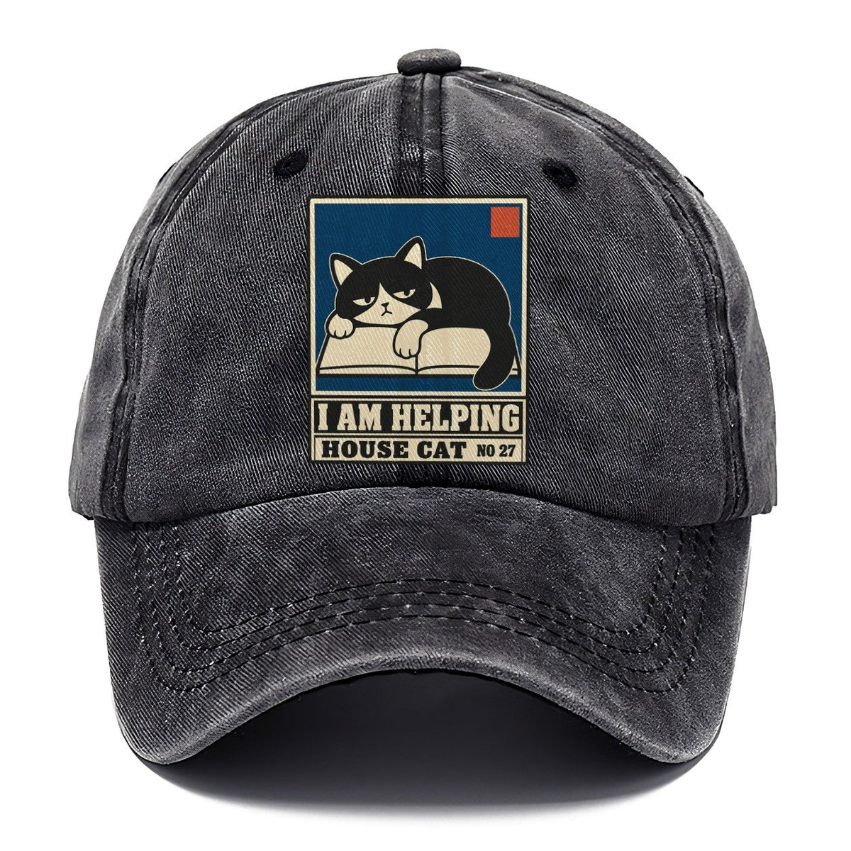 I Am Helping Neko Says No Classic Cap – Graphite