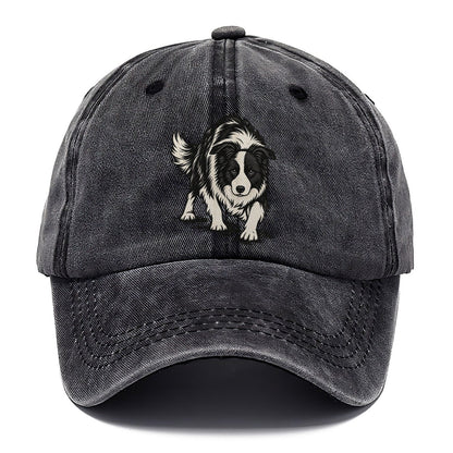 Border Collie Crouch Classic Cap – Graphite
