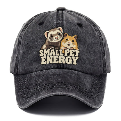 Small Pet Energy Small Pet Logos Classic Cap – Graphite