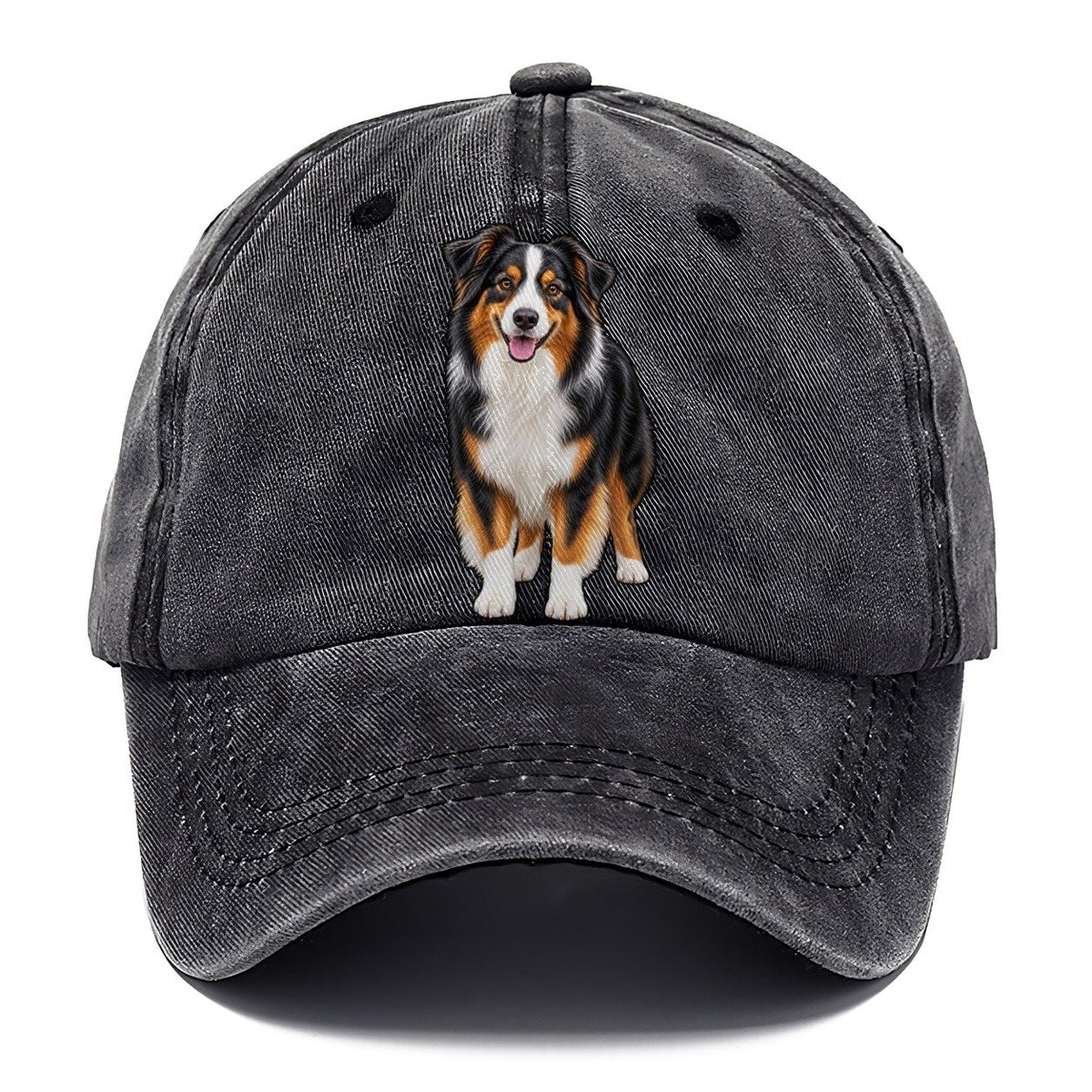 Black Tri Australian Shepherd Classic Cap – Graphite