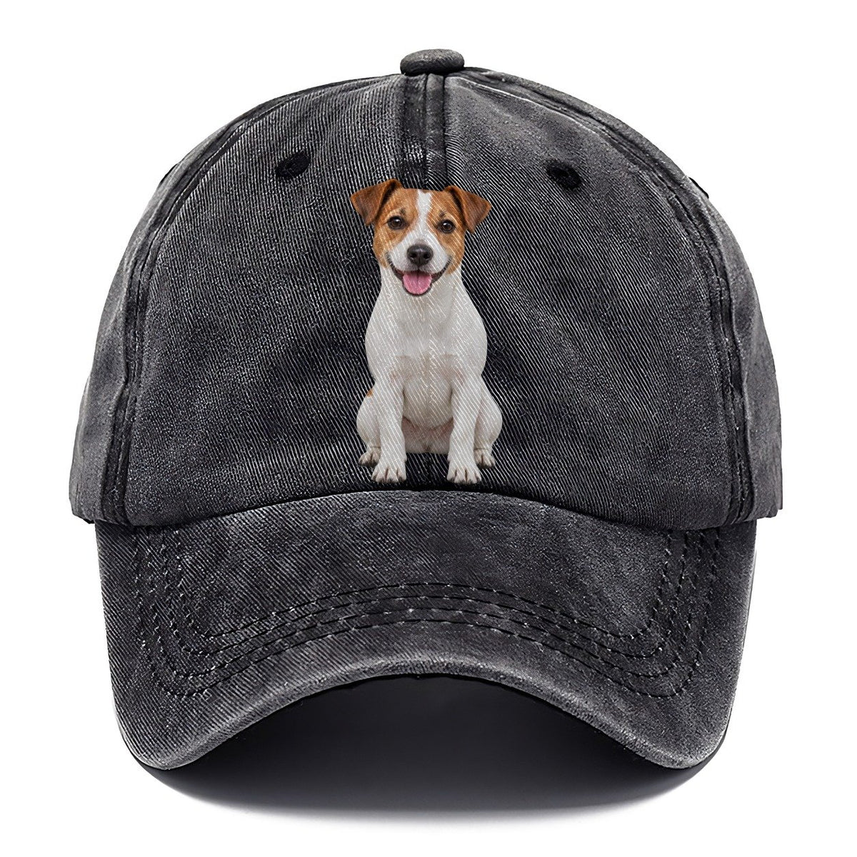Jack Russell Terrier Sitting Top Breeds Classic Cap – Graphite