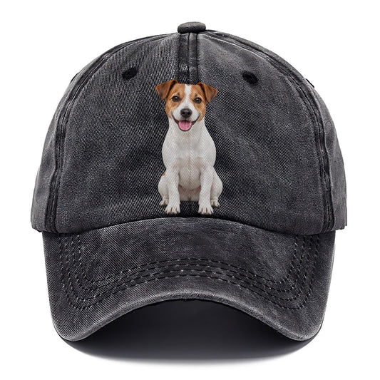 Jack Russell Terrier Sitting Top Breeds Classic Cap – Graphite