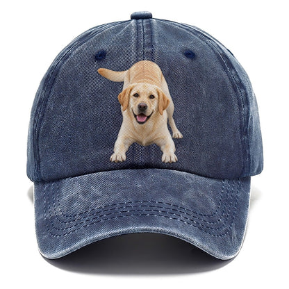 Labrador Retriever Play Bow Top Breeds Classic Cap – Twilight Navy