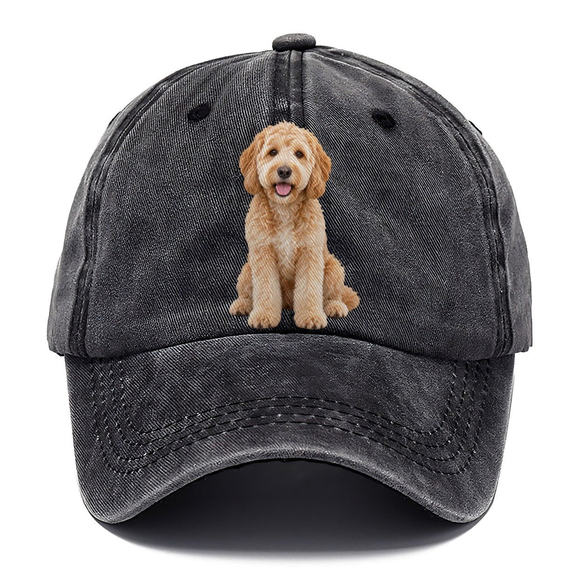 Goldendoodle Sitting Top Breeds Classic Cap – Graphite
