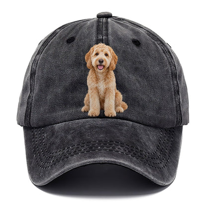 Goldendoodle Sitting Top Breeds Classic Cap – Graphite