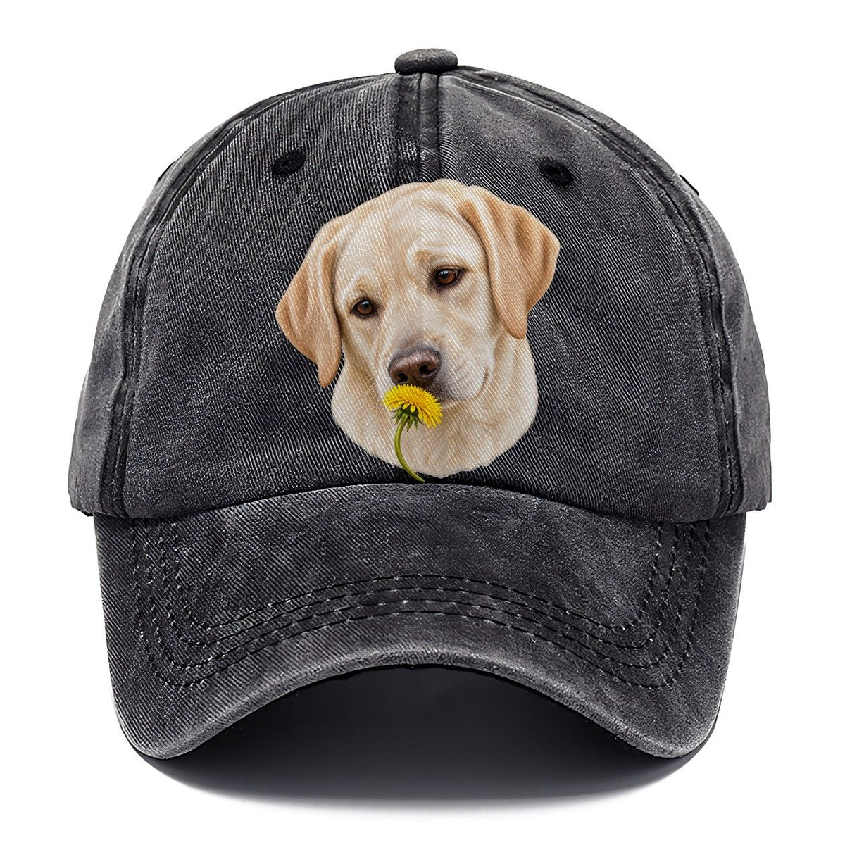 Cream Labrador Dandelion Pause Pastimes Companions Classic Cap – Graphite