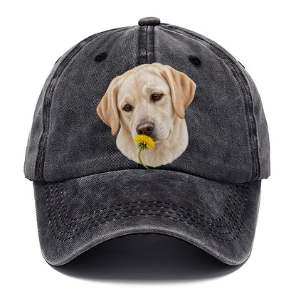Cream Labrador Dandelion Pause Pastimes Companions Classic Cap – Graphite
