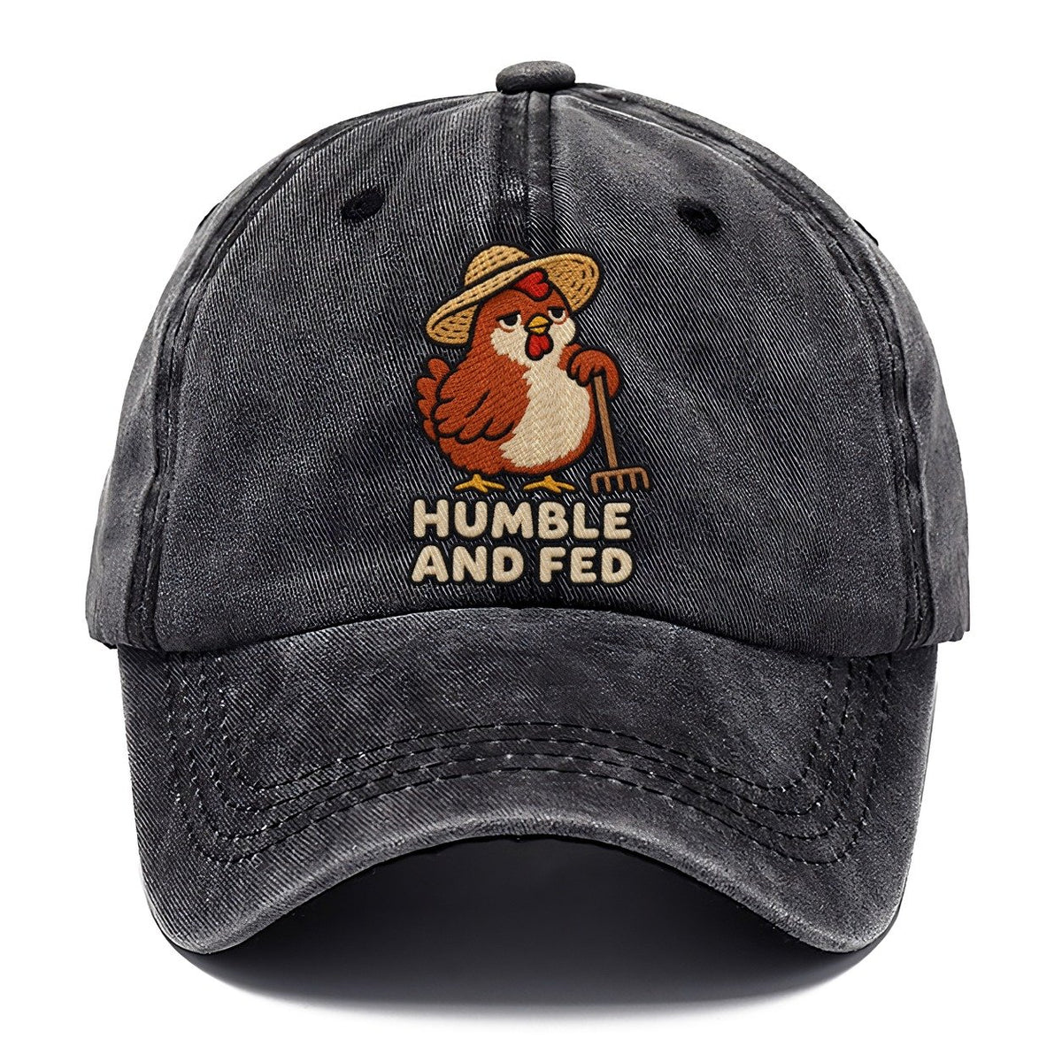 Hen Farmer Weary Court Classic Cap – Graphite