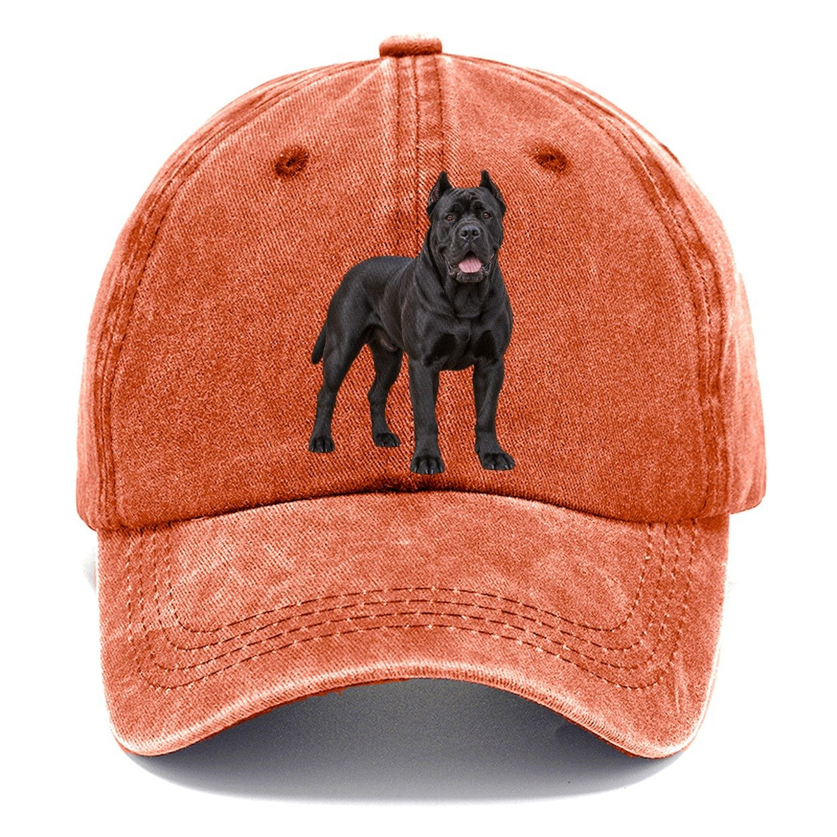 Cane Corso Standing Top Breeds Classic Cap – Terracotta Clay