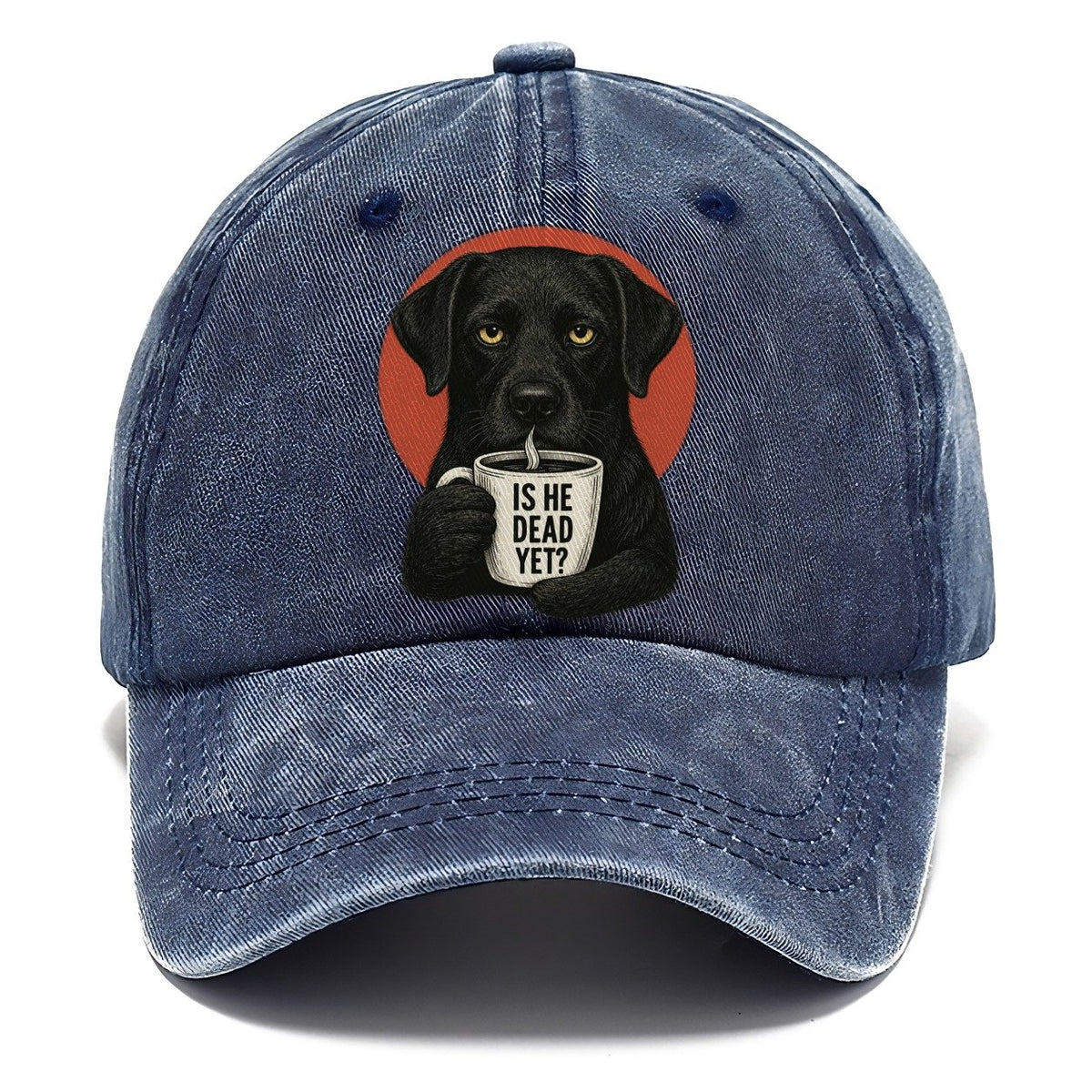 Is He Dead Yet Dog Classic Cap – Twilight Navy