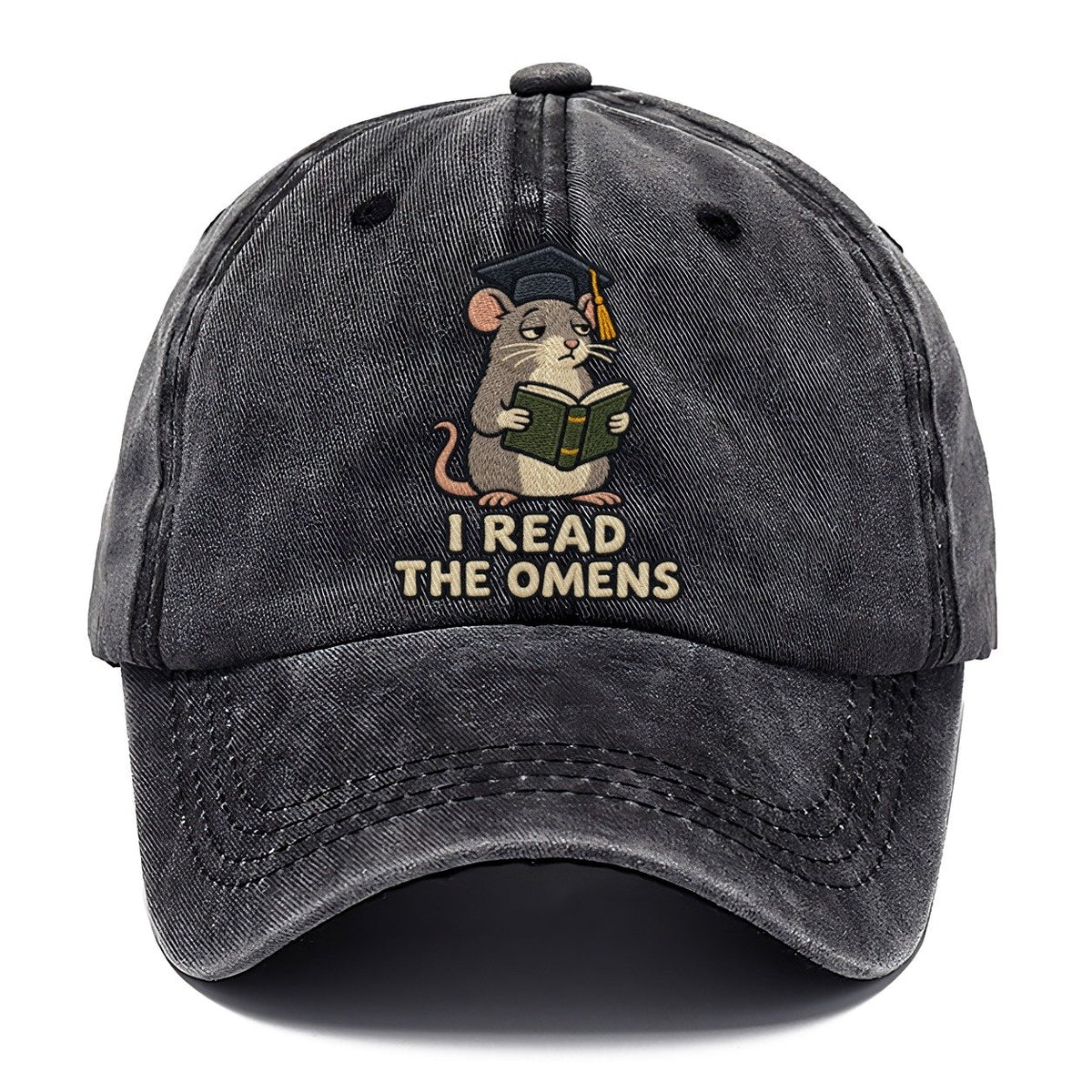 Rat Scholar Weary Court Classic Cap – Graphite