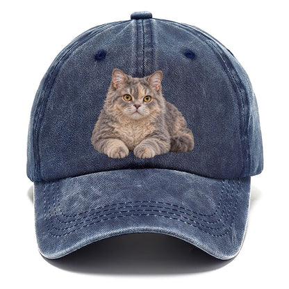 Selkirk Rex Reclining Paws Forward Realistic Cat Portrait Classic Cap – Twilight Navy