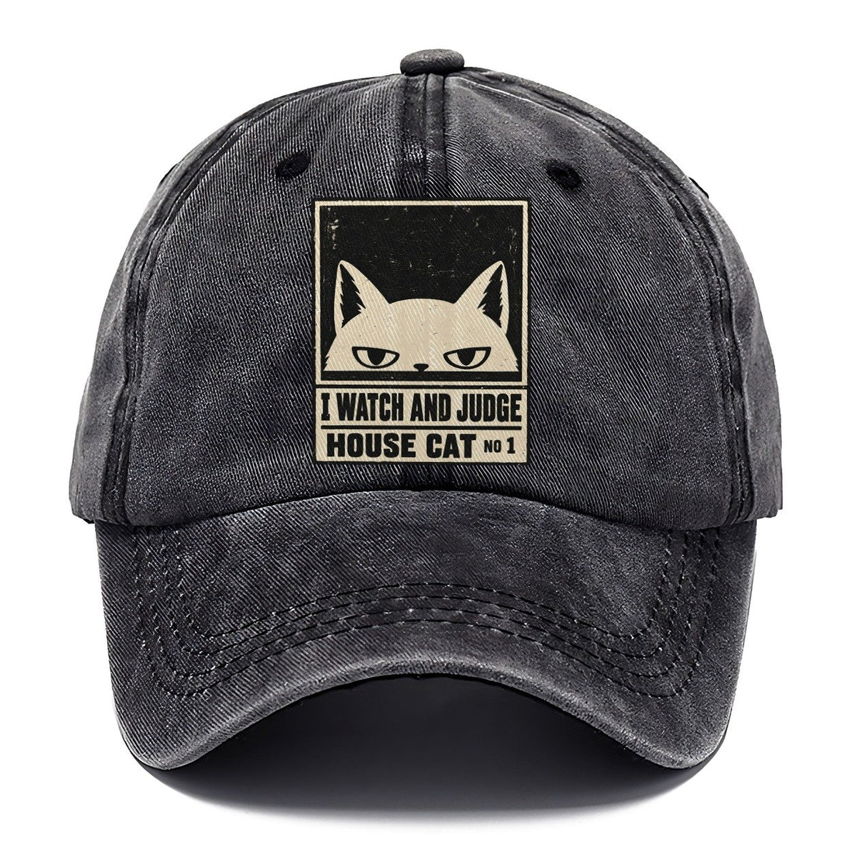 I Watch And Judge Neko Says No Classic Cap – Graphite
