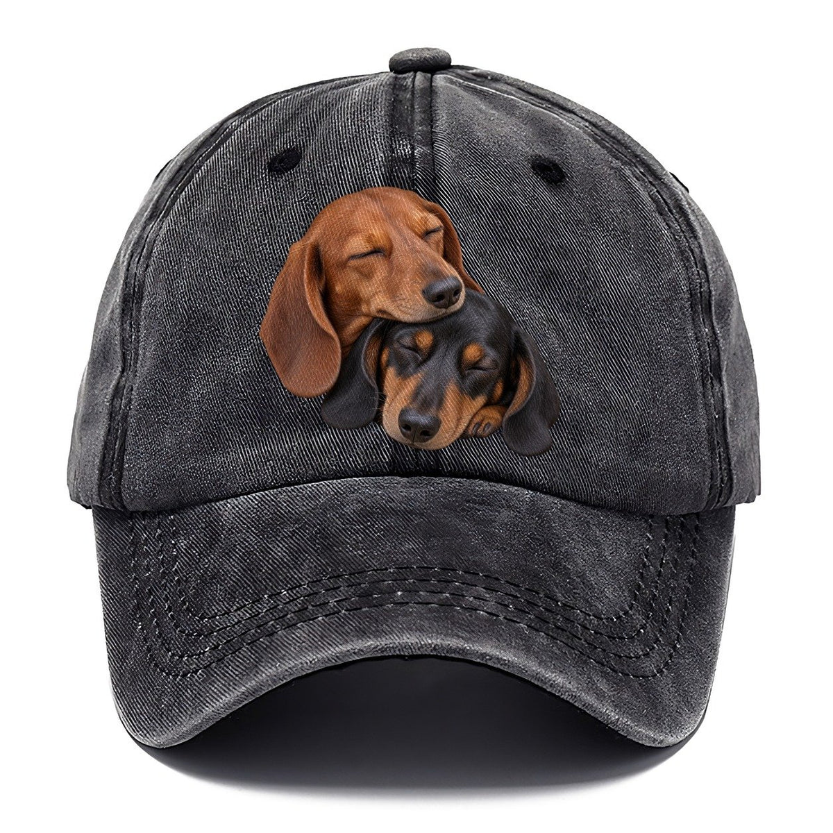 Dachshund Sleeping Pair Character Club Classic Cap – Graphite