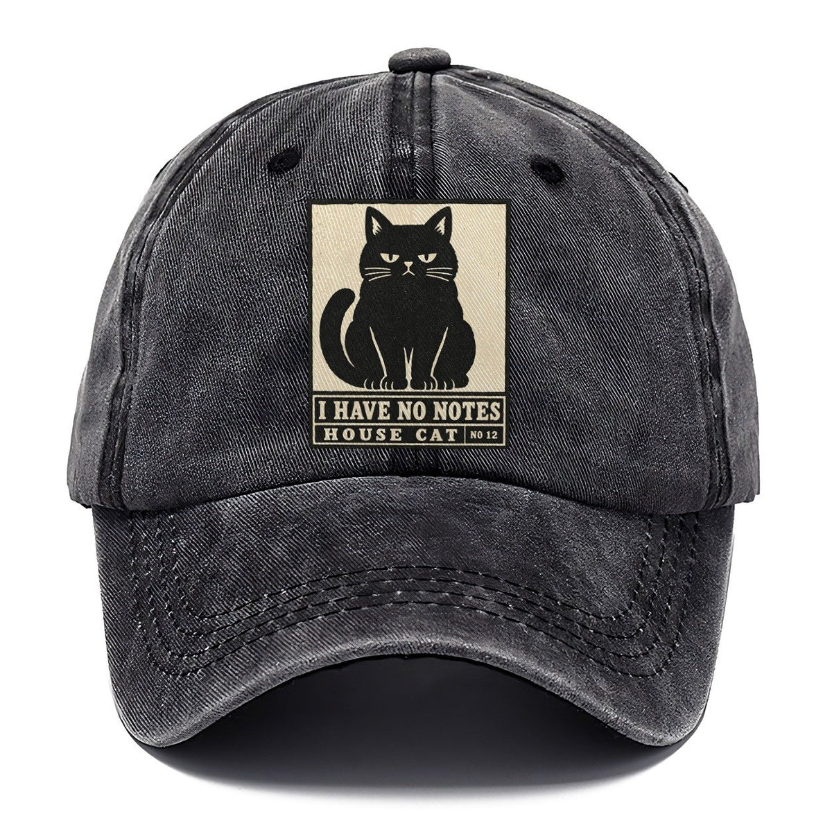 I Have No Notes Neko Says No Classic Cap – Graphite