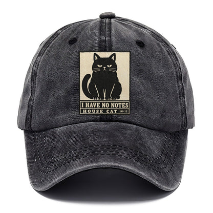 I Have No Notes Neko Says No Classic Cap – Graphite