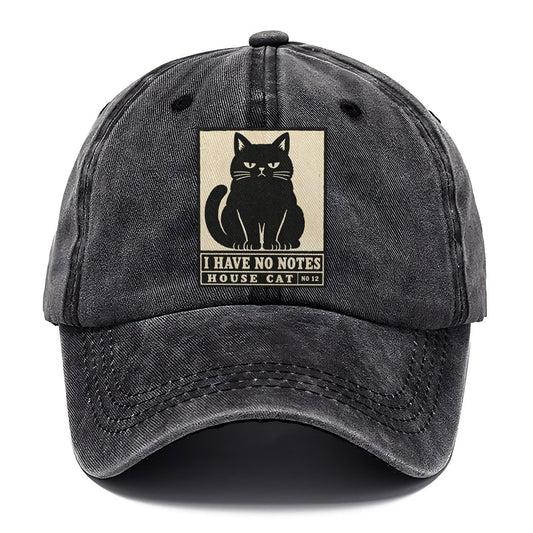 I Have No Notes Neko Says No Classic Cap – Graphite