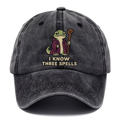 Lizard Mage Weary Court Classic Cap – Graphite