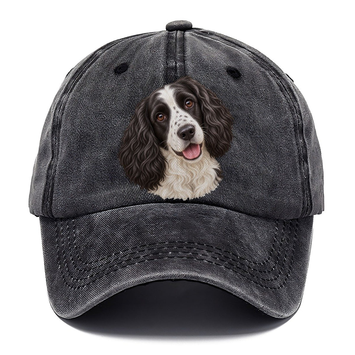 Springer Black And White Tilt Pastimes Companions Classic Cap – Graphite