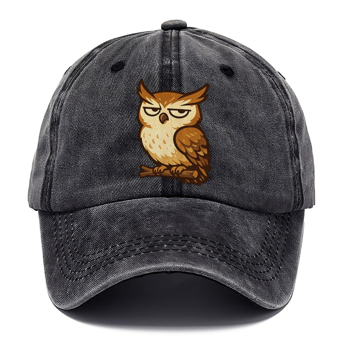 Grumpy Owl on Branch Classic Cap – Graphite