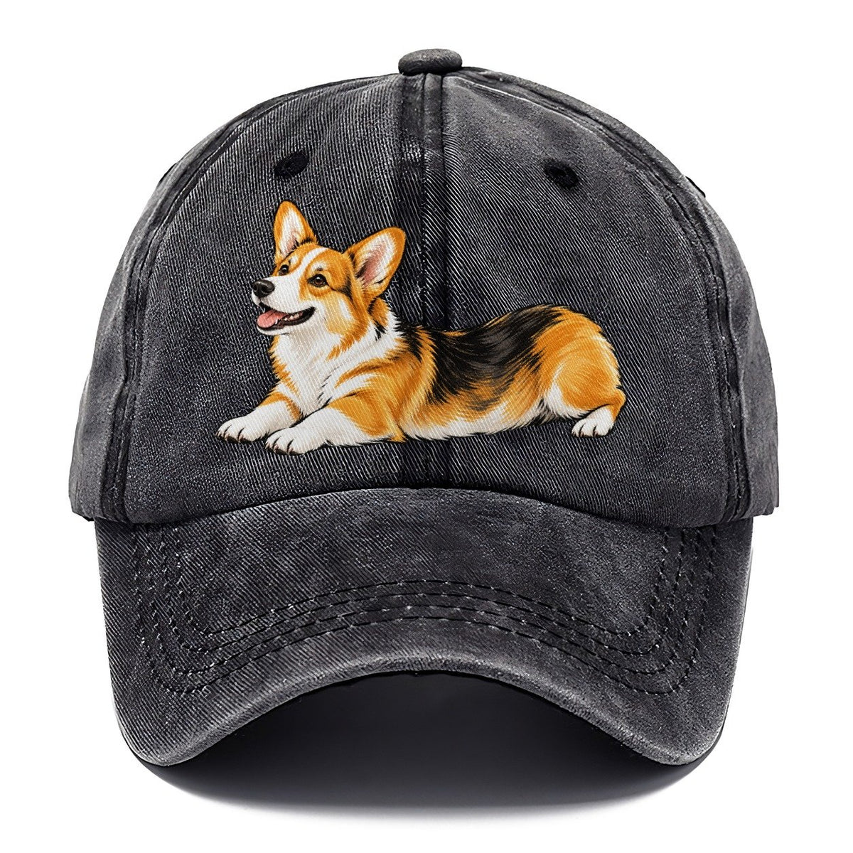 Lying Corgi Classic Cap – Graphite