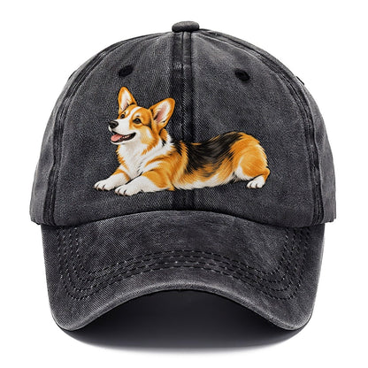 Lying Corgi Classic Cap – Graphite