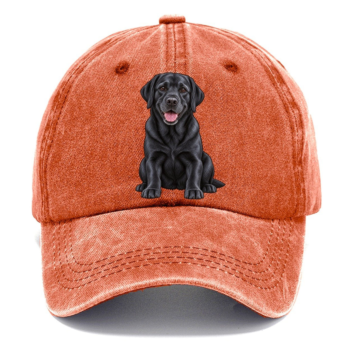 Black Labrador Sitting Classic Cap – Terracotta Clay