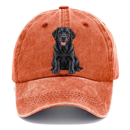 Black Labrador Sitting Classic Cap – Terracotta Clay